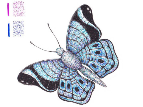 Jak nakreslit motýla tužkou a perem: Od náčrtu po detaily