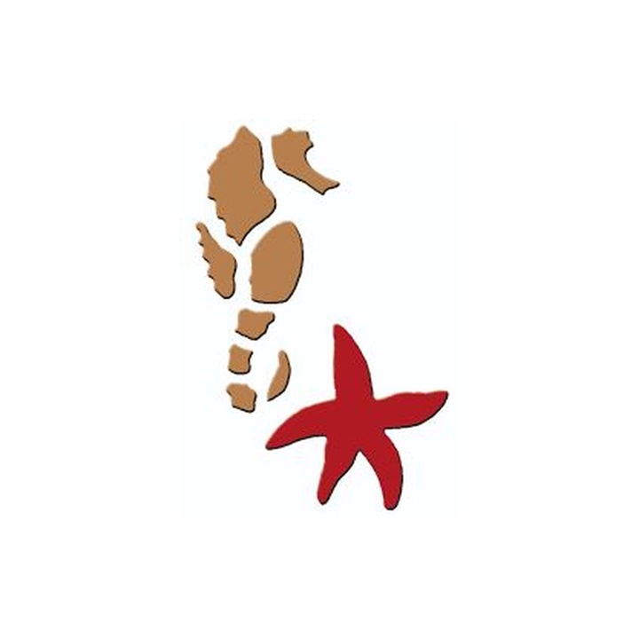Levně 3D šablona Mořský koník a hvězdice 7x10 cm