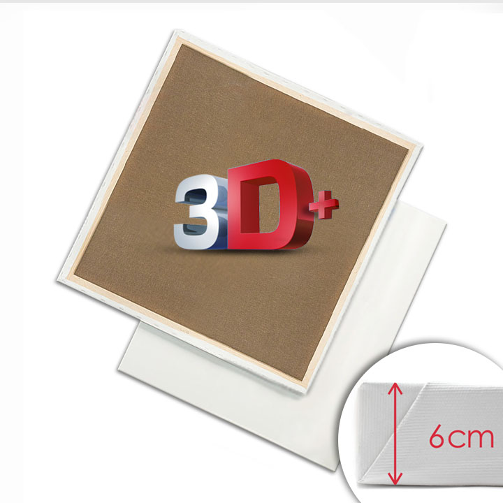 Levně 3D + Malířské plátno na rámu PROFI / Různé rozměry