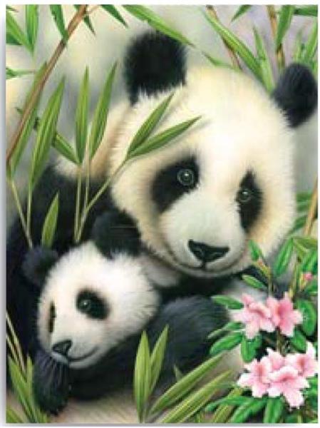 Levně Kreativní set na malování - Panda s mláďátkem (sada na malování podle)
