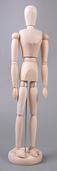 Dřevěný model lidského těla - muž - 40 cm