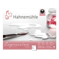 Akvarelový papír Hahnemühle Expression | Různé velikosti