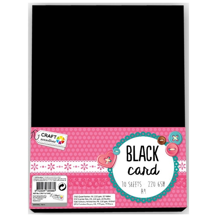 Levně Kreativní karton Craft Sensations A4 black - 10 listový (umělecký karton)