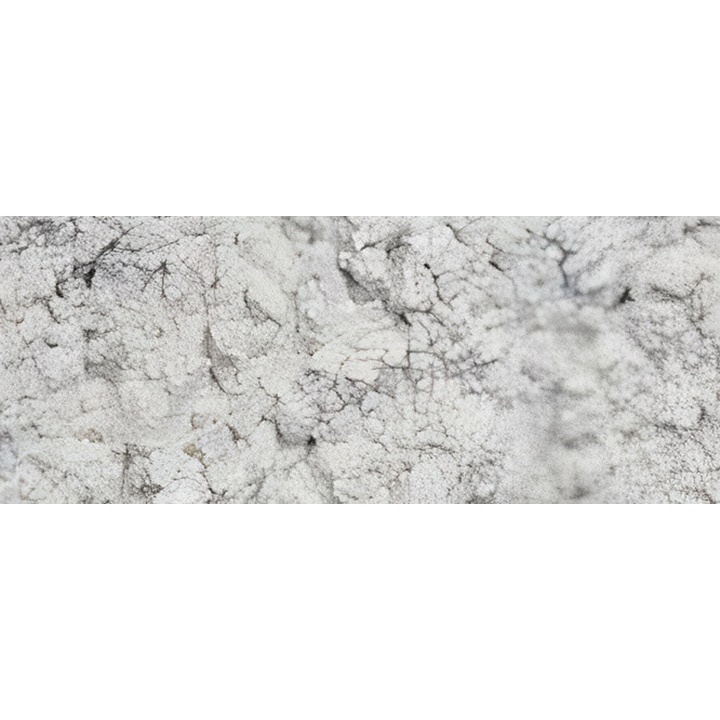 Pigmentový prášek Renesans 1000 g | pearl white suché pigmenty
