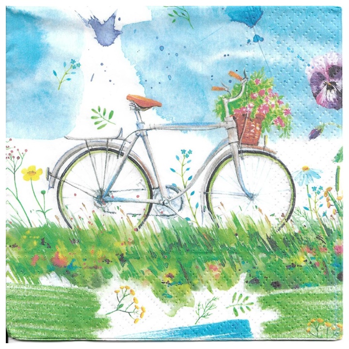 Ubrousky na dekupáž Watercolour Bicycle - 1 ks ubrousky na dekupáž