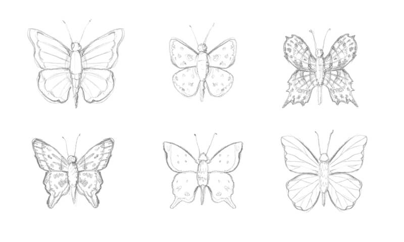 návod jak nakreslit motýla