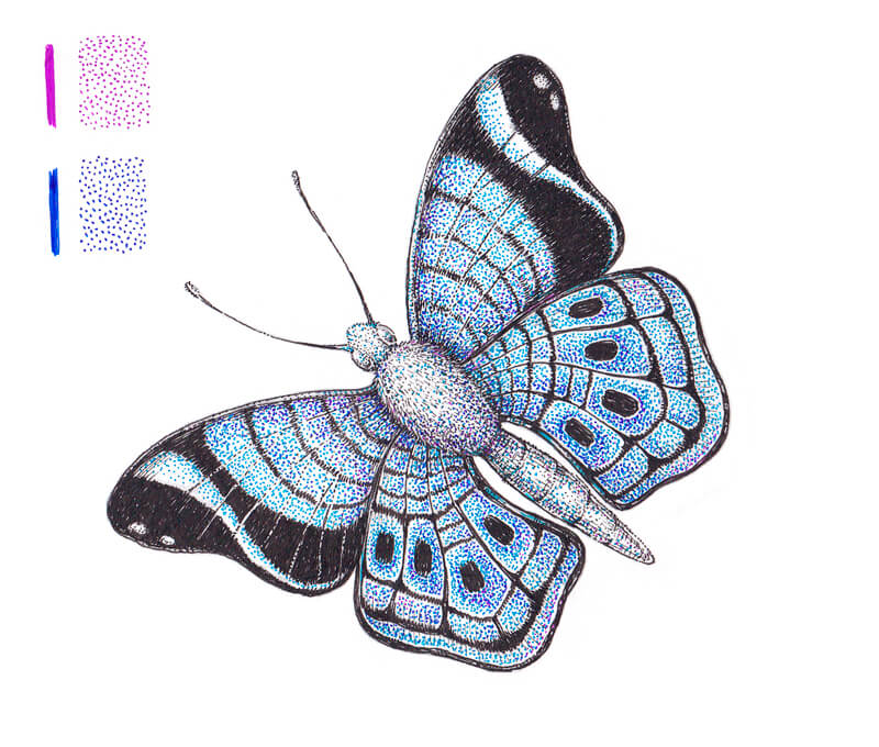 jak namalovat motýla