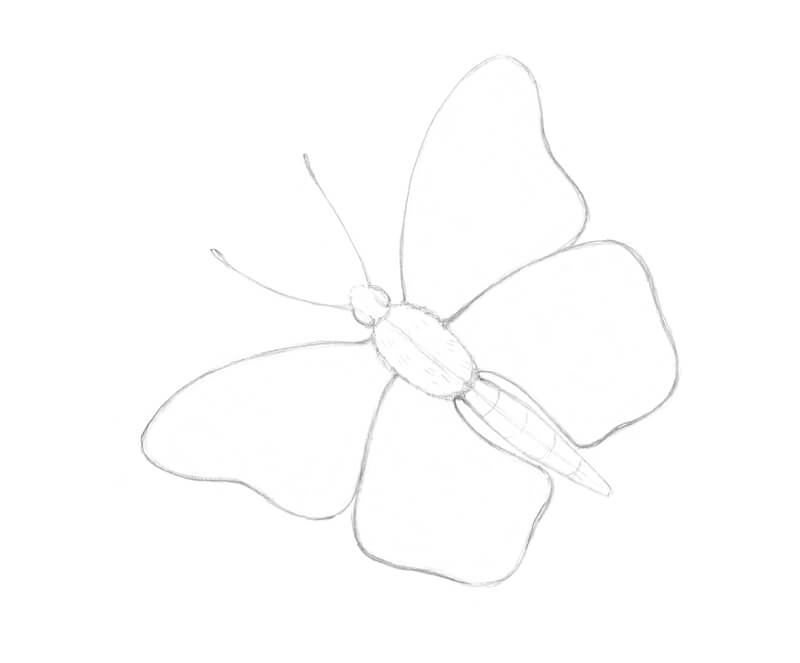 návod na kresleného motýla